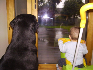 Ah quand la libert�?