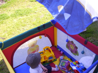 Installation estivale!