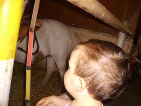 A la d�couverte des animaux de la ferme!