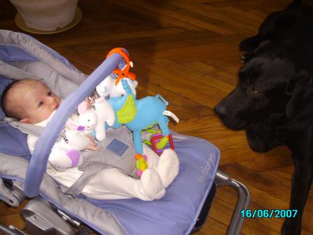 Ma�tre Yoda me prot�ge!