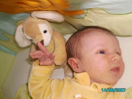 Et l� c'est Mr Lapin!