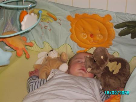 Entre l'Hippopotame...