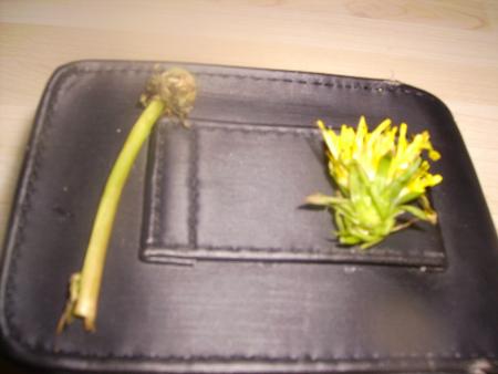 ...et comme elle �tait tr�s �mue, je lui en ai offert une 2�me!